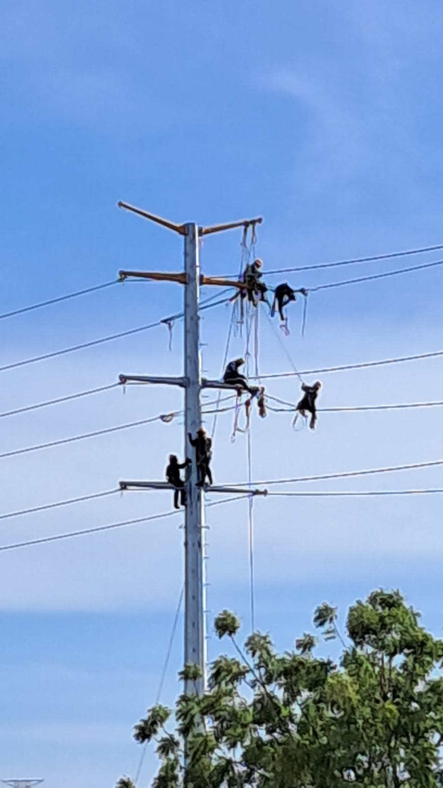 L.T. 115 kV Santa Fe Entronque Culiacán Uno (Montaje y Linieros) - Fotografía 4