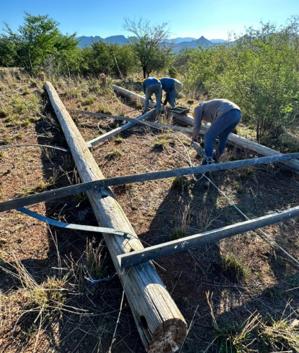 Red de Media Tensión 34.5 kV Nácori Chico - Mesa Tres Ríos