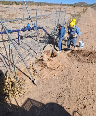 Línea de Distribución 13.5 kV Pozo de Agua en Altar - Fotografía 2
