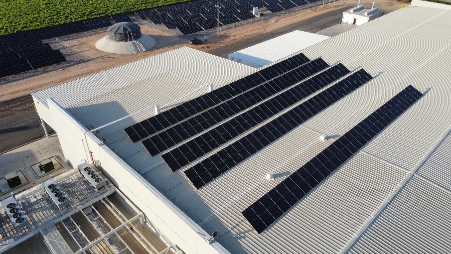 Parque Solar Agrícola 313.95 kW Pozo Manuel