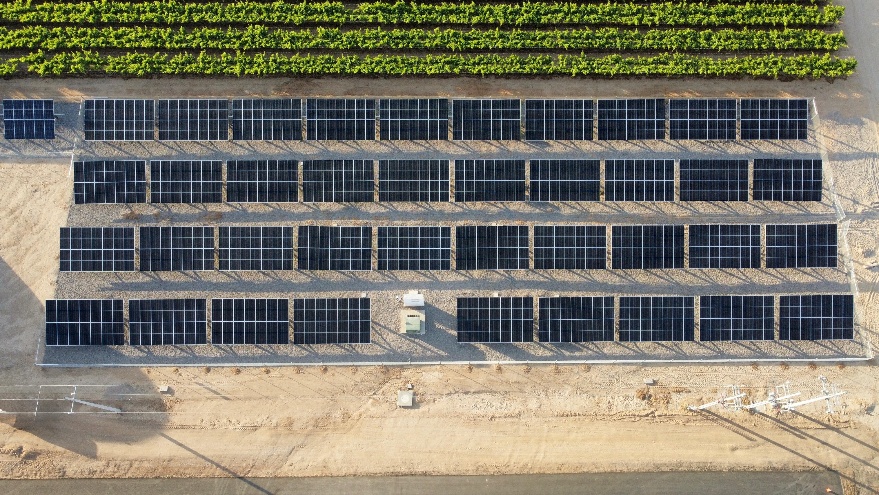 Sistema Fotovoltaico 313.95 kW Campo Agrícola Pozo Manuel - Fotografía 2